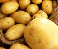Чем полезен картофель? 