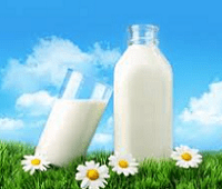 Чем полезно молоко