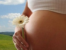 барсучий жир при беременности