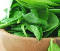 Польза и вред шпината для здоровья и диета на основе шпината