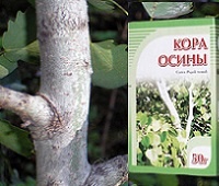 Кора осины - польза, применение, рецепты для здоровья и красоты