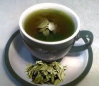 чай из листьев брусники