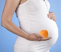 абрикос для беременных