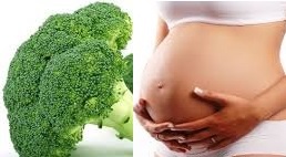 брокколи для беременных
