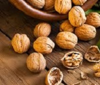Грецкий орех - состав, калорийность, как хранить, польза и вред для здоровья