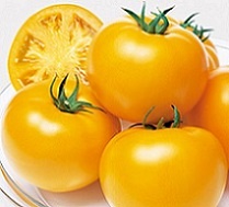 Польза или вред потребления помидоров