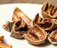 Скорлупа грецкого ореха - лечебные свойства, применение и рецепты