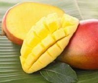 Манго фрукт - как выбрать, как хранить, как съесть, польза и вред для организма