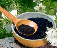Черный тмин - состав, лечебные, полезные свойства, как принимать, рецепты и противопоказания