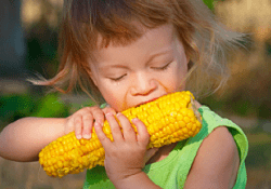 Как полезна кукуруза вареная для женщин