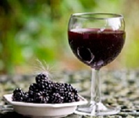 Рецепты домашнего вина и ликера из ежевики