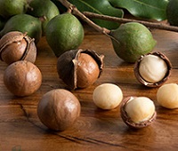 Орех макадамия - польза и вред для здоровья и красоты