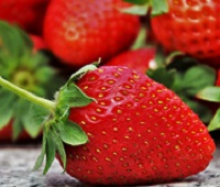 Клубника - это фрукт или ягода, польза, применение и рецепты для здоровья и красоты