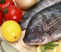 Тилапия (тиляпия) - что за рыба, где водится, состав, калорийность, польза и вред