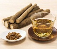Чай из корня лопуха - польза, лечебные свойства, как приготовить и как пить для здоровья