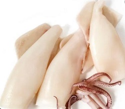 Для чего полезны кальмары в пище