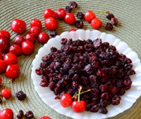 Сушеная (вяленая) вишня - калорийность, польза, как сушить, как хранить, что приготовить
