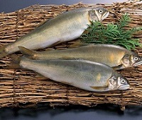 Молочная рыба (Ханос) - что это за рыба, фото, где водится, описание, как приготовить, рецепты, польза