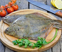 Камбала - что за рыба, описание, где водится, фото, калорийность, как приготовить, польза и вред для организма