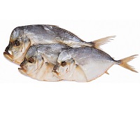 Рыба вомер (селена) - 8 самых простых и очень вкусных рецептов приготовления