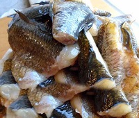 Как приготовить рыбу ротан - 12 самых простых и очень вкусных рецептов