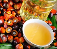 Пальмовое масло - вред и польза, из чего делают, в каких продуктах содержится, применение
