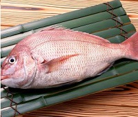 Морской красный окунь - что за рыба, где водится, фото, польза, как вкусно приготовить