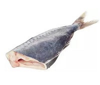 рыба саворин